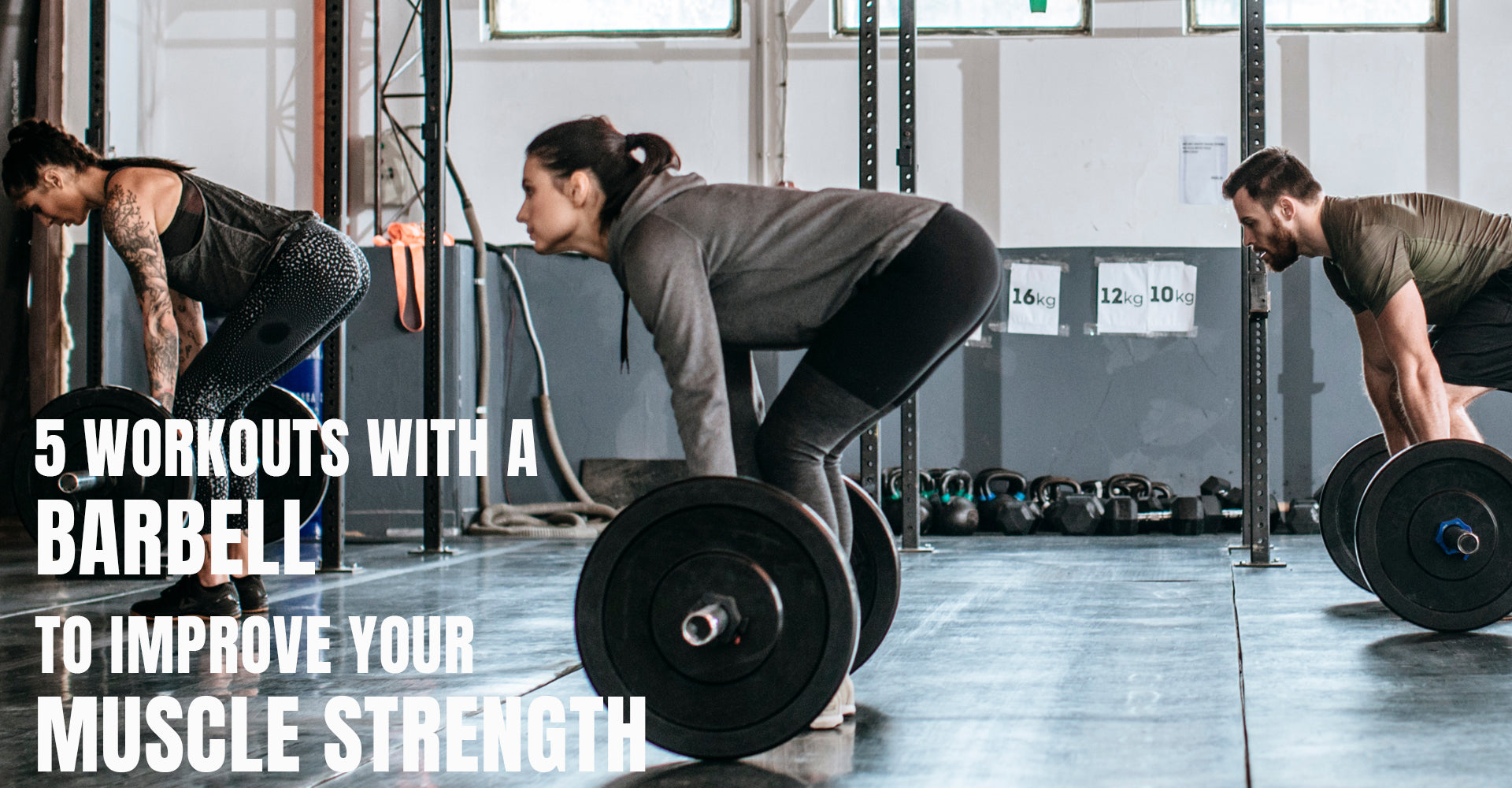 5 Workouts with a Barbell to Improve Your Muscle Strength