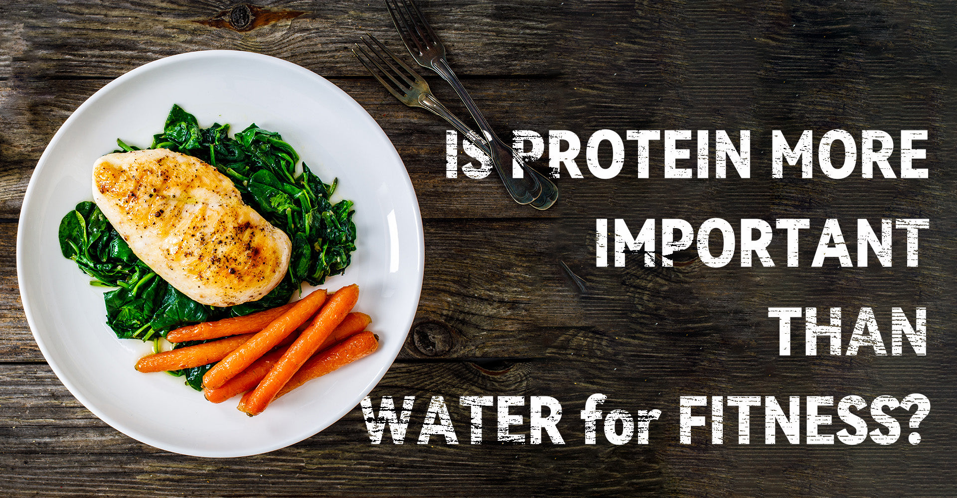 Is Protein More Important Than Water for Fitness?