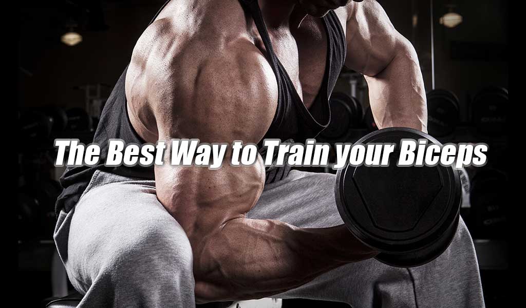 The Best Way to Train your Biceps