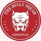 the bully squad logo