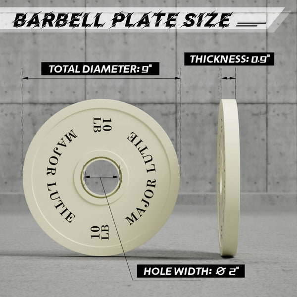 MAJOR Change Plates 10LB Size
