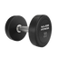 Major Fitness Urethane Dumbbells
