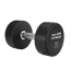 Major Fitness Urethane Dumbbells

