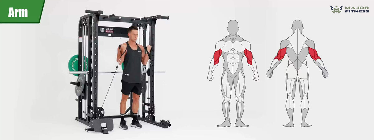 Smith machine Spirit B52 arm training display and human arm muscle image
