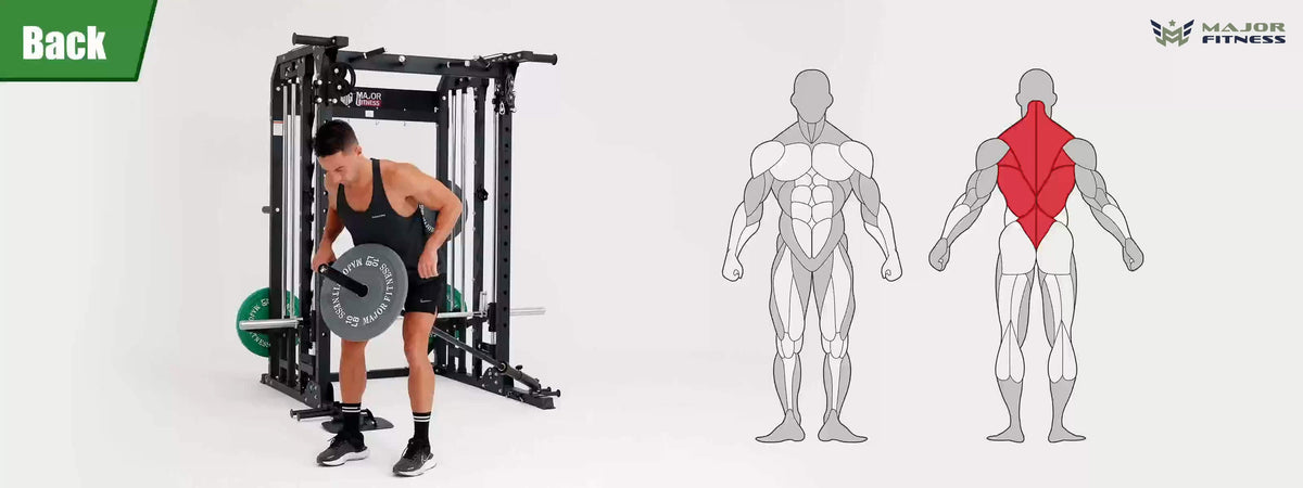 Smith machine Spirit B52 back training display and human back muscle image