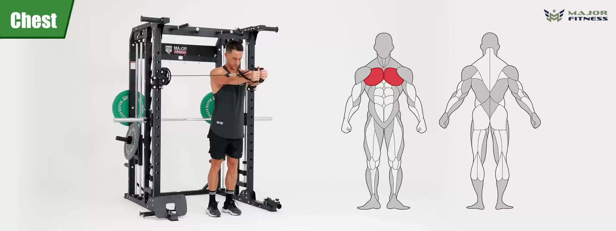 Smith machine Spirit B52 chest training display and human chest muscle image