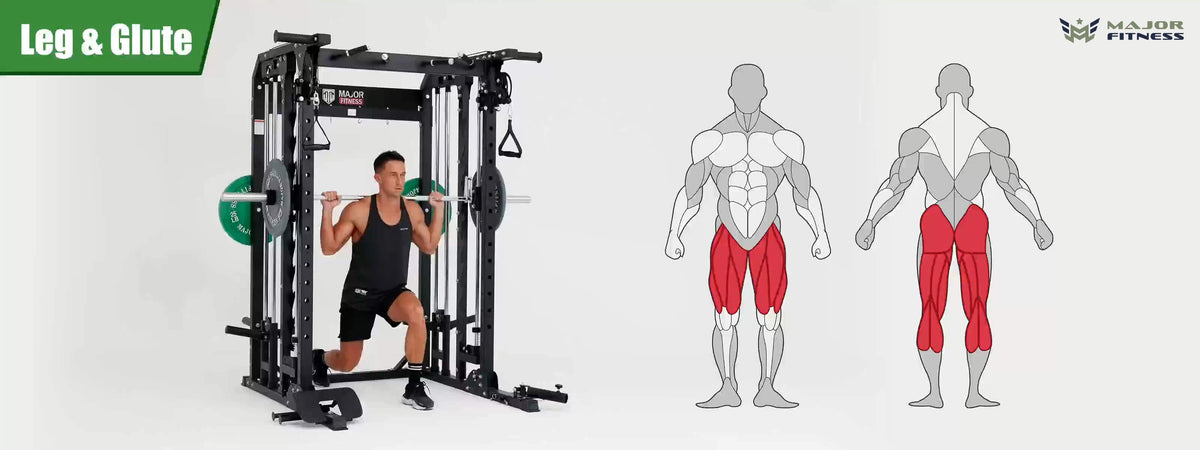 Smith machine Spirit B52 leg training display and human leg muscle image