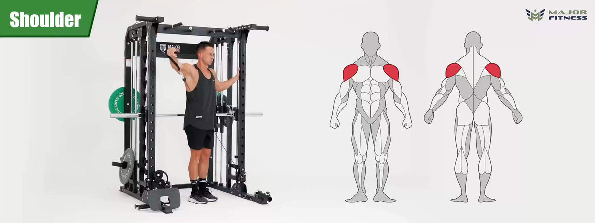 Smith machine Spirit B52 shoulder training display and human shoulder muscle image