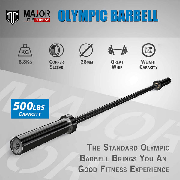 MAJOR LUTIE 4ft25lb Olympic Straight Curl Bar bk
