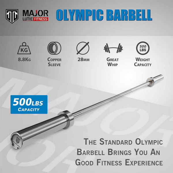 MAJOR LUTIE 4ft25lb Olympic Straight Curl Bar silver
